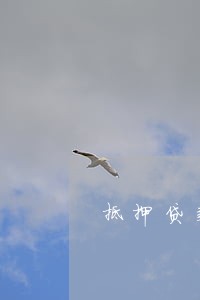 抵押贷款 逾期 不良贷款 抵押贷款 逾期 不良贷款
